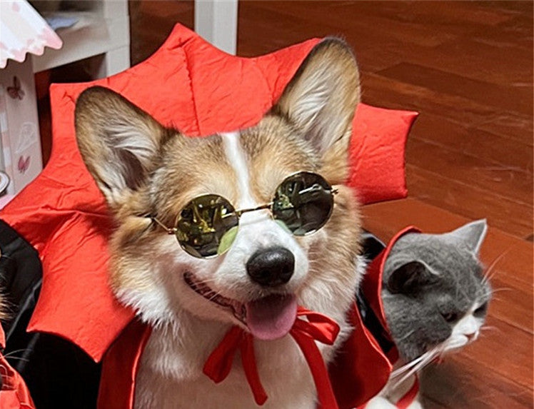 Vampire Cape Pet Costume – image 4