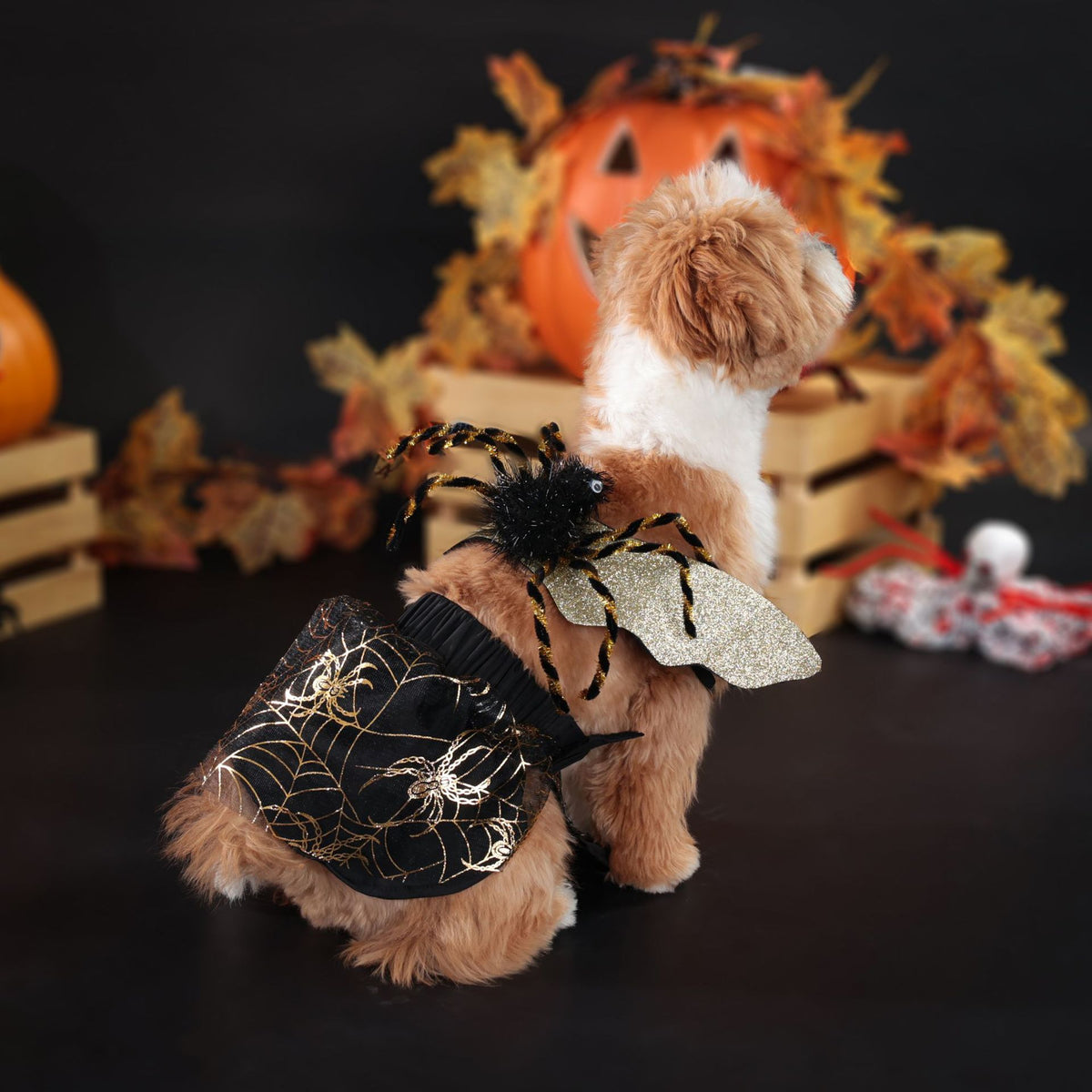 Dog Halloween Costume – Party Suit