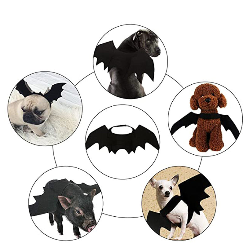 Bat Wings Pet Costume for Cats & Small Dogs – image 2