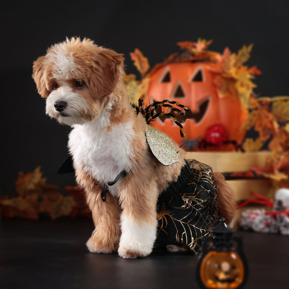 Dog Halloween Costume – Party Suit – image 4