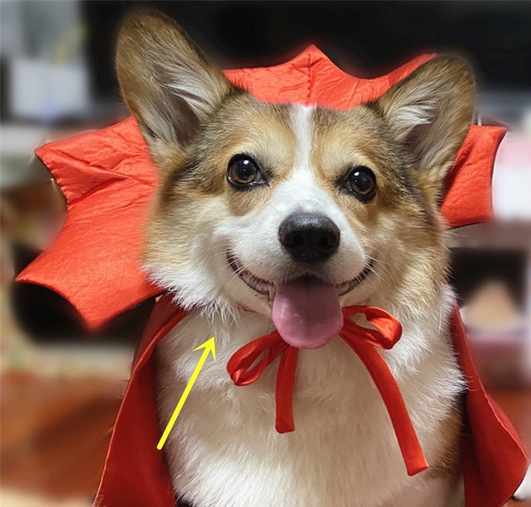 Vampire Cape Pet Costume – image 3