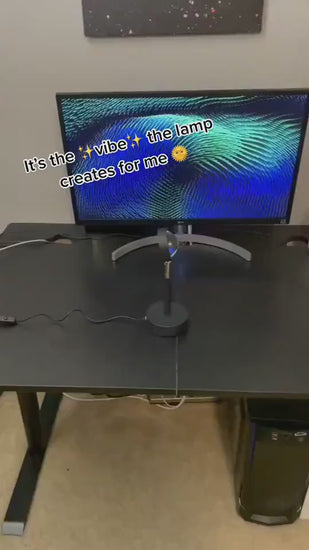 1.mp4