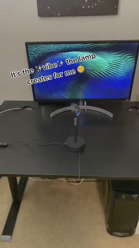 1.mp4
